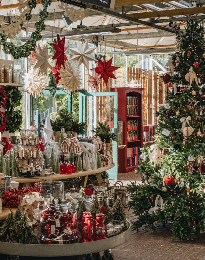 Christmas decorations including red and white star lanterns hanging from the ceiling, small gingerbread houses on a table, and a decorated Christmas tree in a garden center.