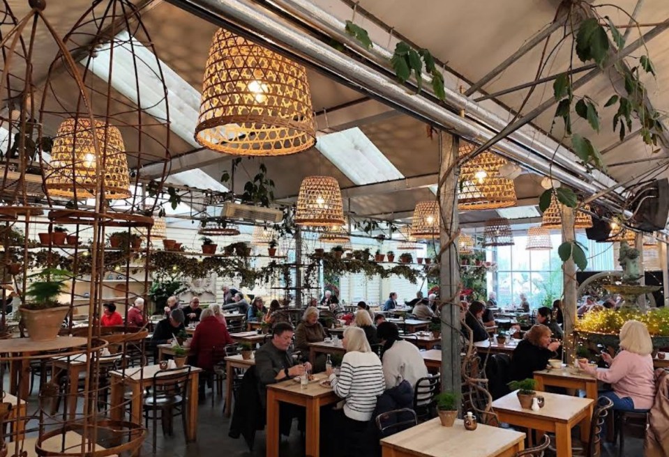Inside a garden center restaurant with people dining at tables under hanging plants and woven light fixtures.