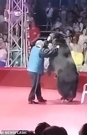 The beat can be seen wearing rollerskates