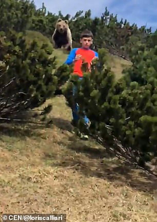 Alessandro remained calm as the bear began to follow him