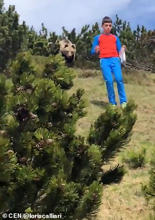 The 12-year-old boy had been enjoying a picnic with his family in Sudtirol, northeastern Italy