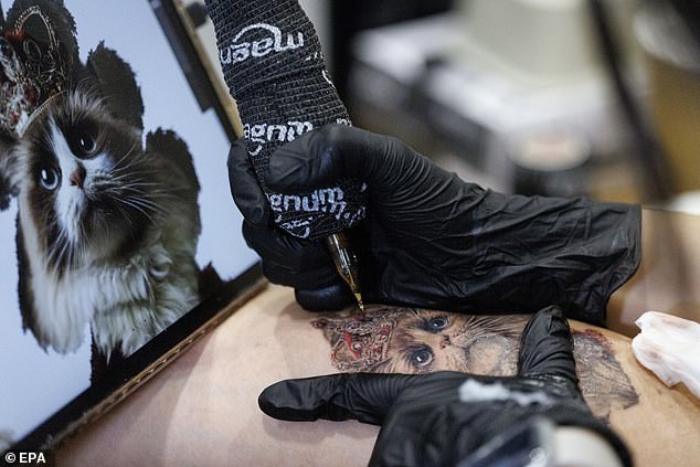 An artist sketches out a detailed design of a kitten with a crown