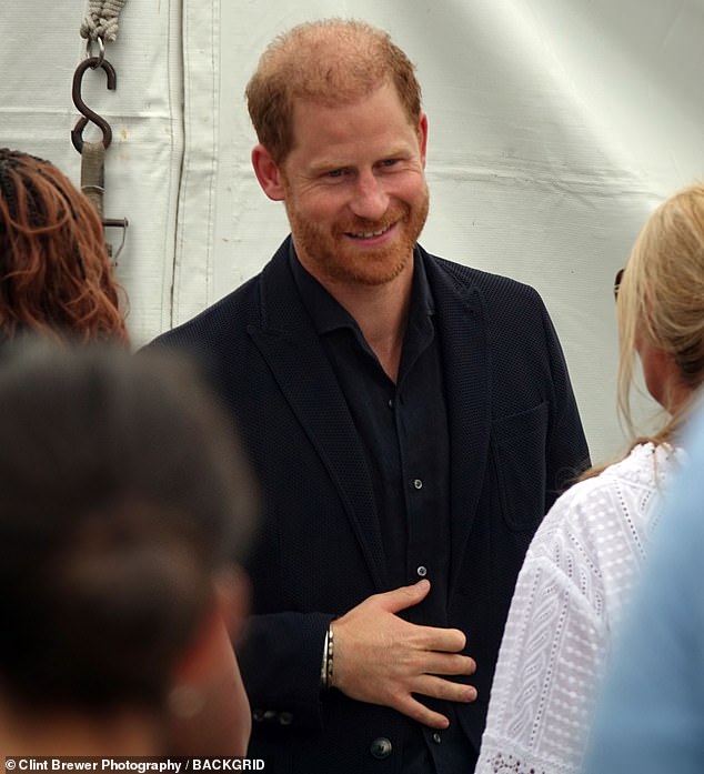Despite the cautious positive steps, Harry is said to be 'realistic' that some reputational damage from the last few years is irreversible