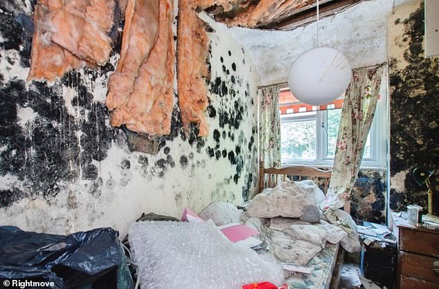 photos of inside the home show it is in major need of refurbishment, with black mould caked on the walls of the bedrooms, which has part of its ceiling missing.