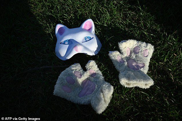 In this picture taken on October 21, 2024, a quadrobics cat costume lies on the grass in Moscow