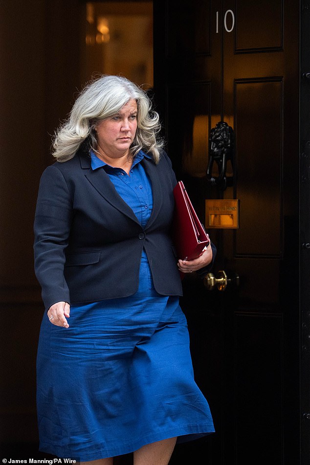 Transport Secretary Heidi Alexander formally backed the scheme last night, with the government saying it was a a 'no-brainer'