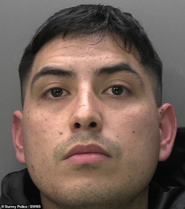 Yeico Guzman Fernandez (pictured) had only been in the UK for a number of hours before he met up with the burglary gang to embark on an 'offending spree'. Surrey Police Investigating officer, Sergeant Ben Deacon, said that he had 'entered the UK with sole intention of thievery'