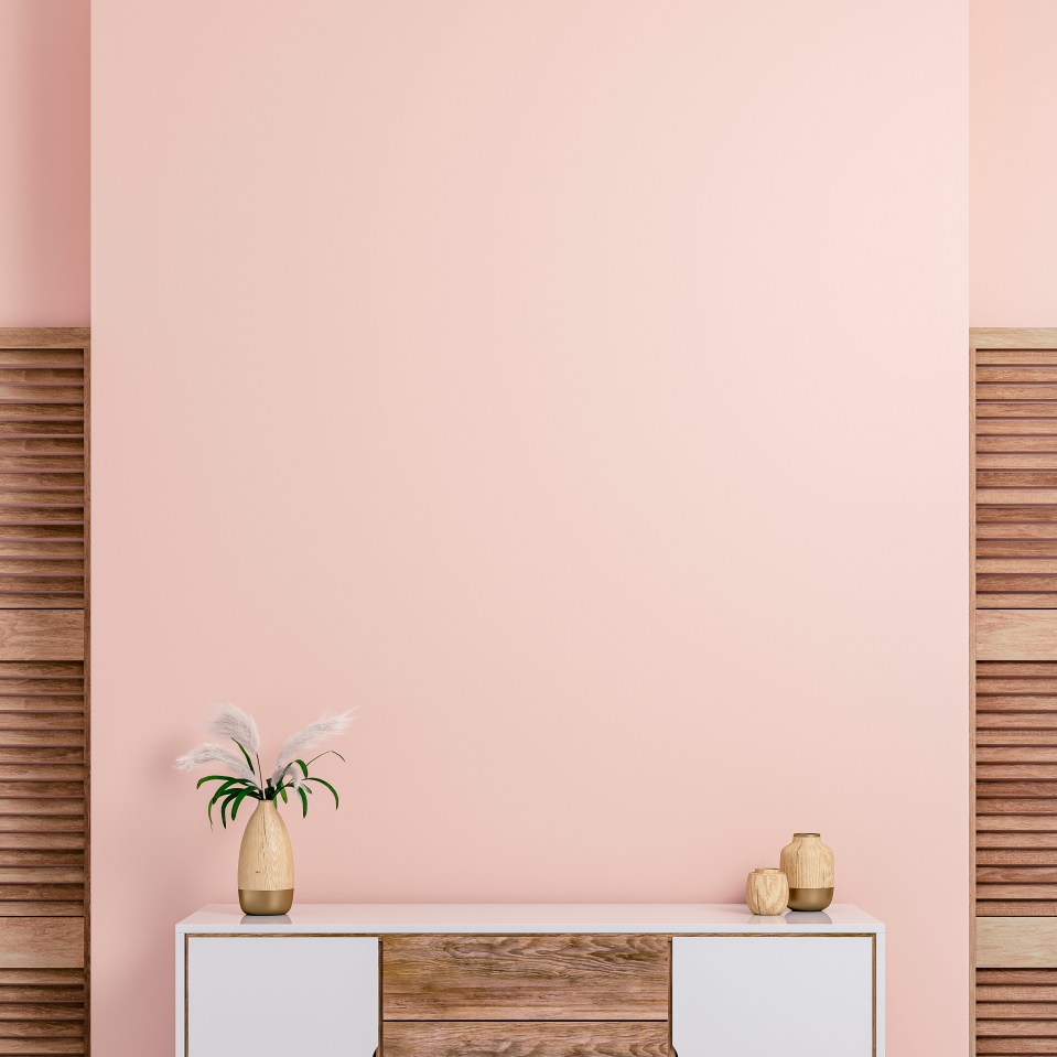 Illustration of a retro-chic interior with a pink wall, a white and hardwood cabinet, and decor.