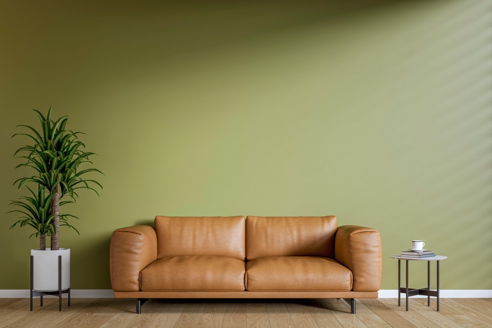 Illustration of a minimalist living room with a brown leather sofa, a tall plant, and a small side table against a green wall.