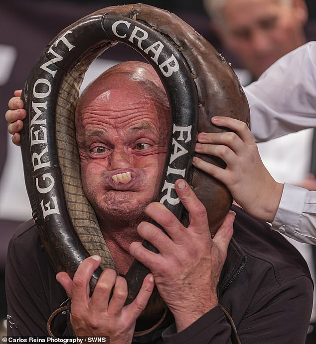 It is a rural English tradition, with contests long held in villages across the country. Pictured: One of this year's championship competitors
