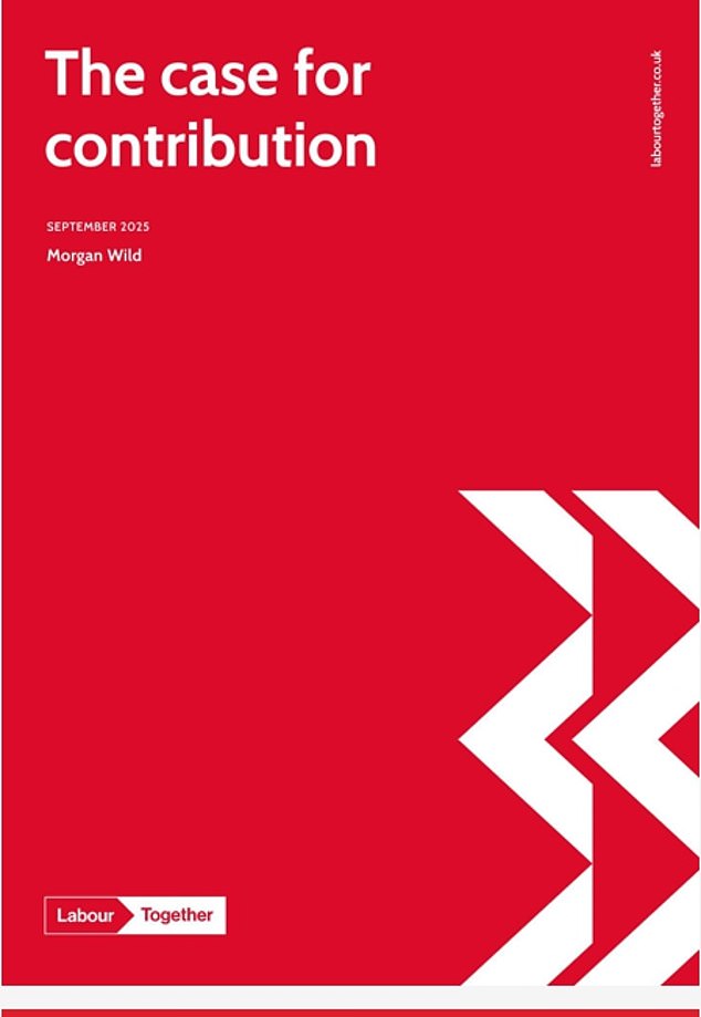 The report warned Labour must 'meet the public where they are' and argued that 'contribution is the main thing they mean by fairness'