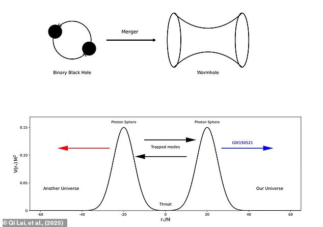 If the collision between two black holes briefly created a wormhole, the echo of their collision would pass through the throat of the wormhole into our universe, where it would appear as a brief burst of gravitational waves