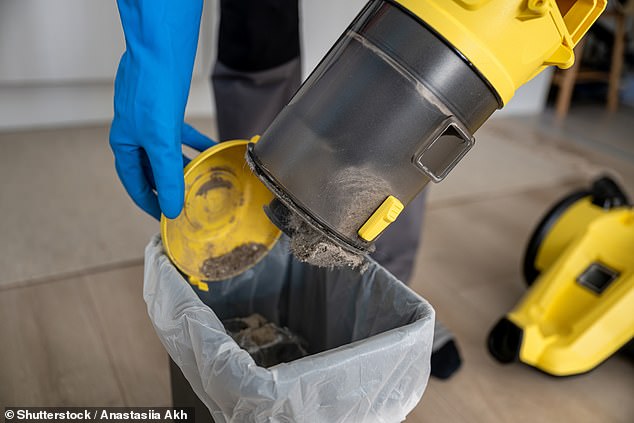 Regularly empty your vacuum bin to keep smells at bay
