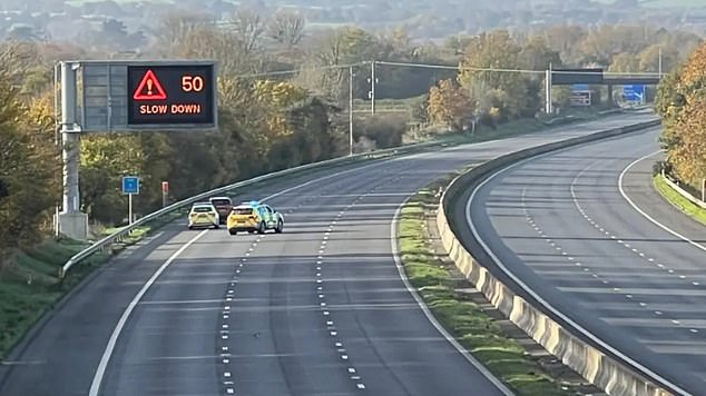 She was hit by a car and killed on the M5 between Bridgwater and Taunton (pictured: police at the scene after the accident)