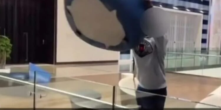 Schoolboy yob, 16, who hurled HUGE 15kg seat over edge of 50ft drop inside busy mall is jailed