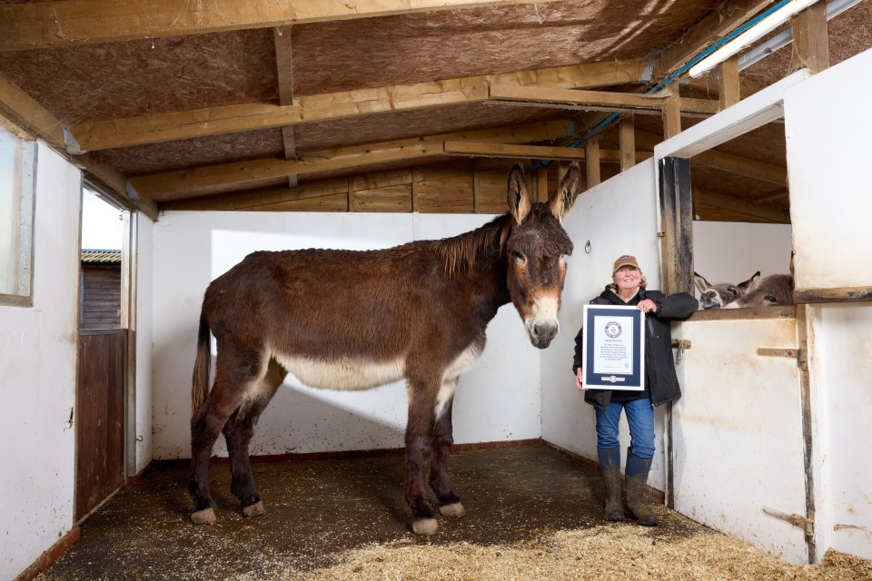 Derrick the Tallest Donkey with his owner, holding a Guinness World Records certificate.