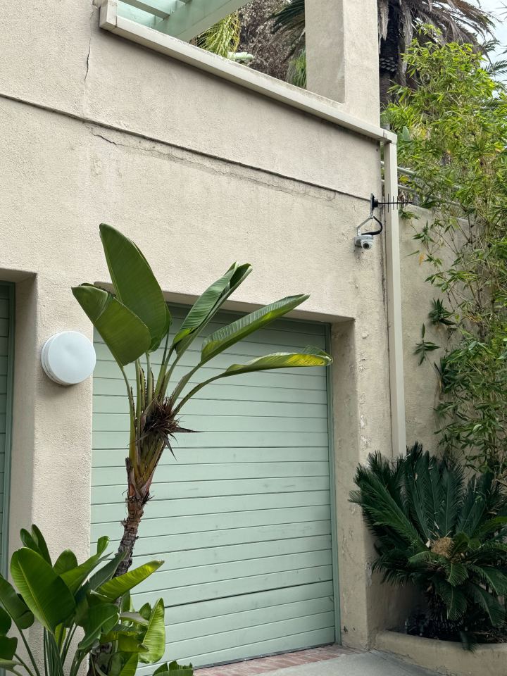 Exterior of a light-colored building with a pale green garage door, a banana plant, a security camera, and other foliage.