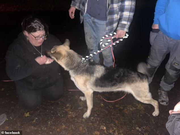 Carrie Kemp had to rush home from her family holiday in Ibiza after she received a call to say her dog, Rayne,  had escaped from the pet's kennels