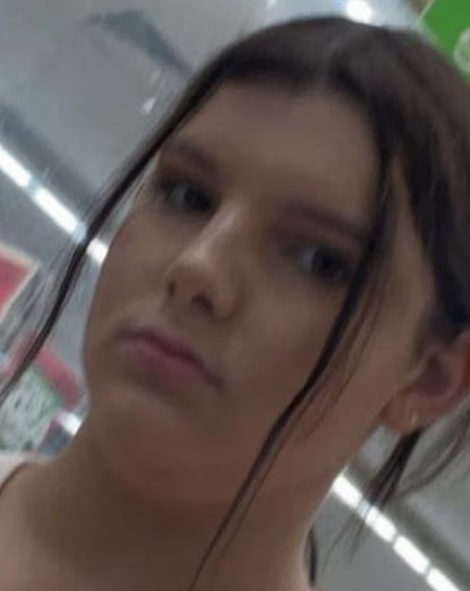 A highway with cars traveling on it, a bridge overhead, and trees and bushes lining the road.