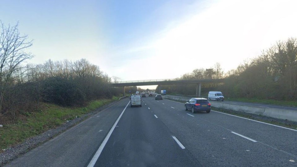 The M5 motorway with an overpass and vehicles, surrounded by bare trees.