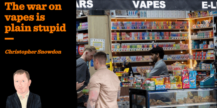 The war on vapes is plain stupid | Christopher Snowdon