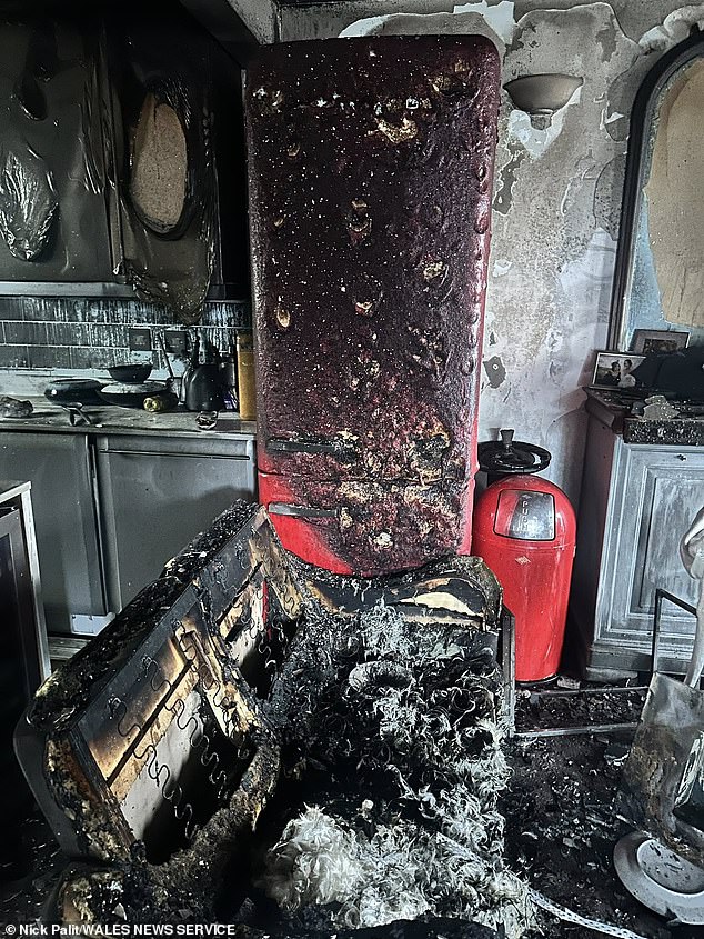 The senior BBC presenter and his wife were engulfed in a fireball which almost killed them and destroyed their home after their fashionable bio-ethanol heater exploded