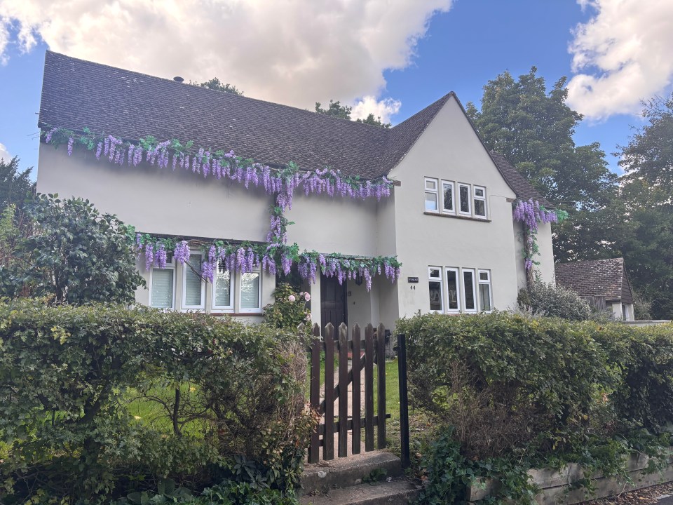House with purple wisteria vines covering the facade.