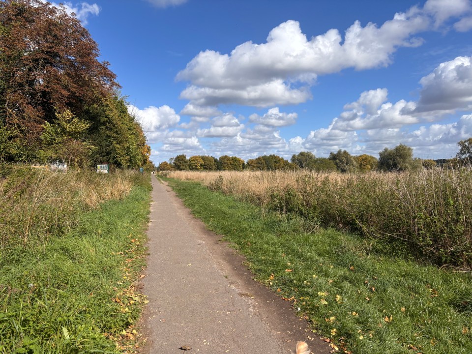 A pathway with green and brown grass, leading towards a line of trees under a blue sky with white clouds.