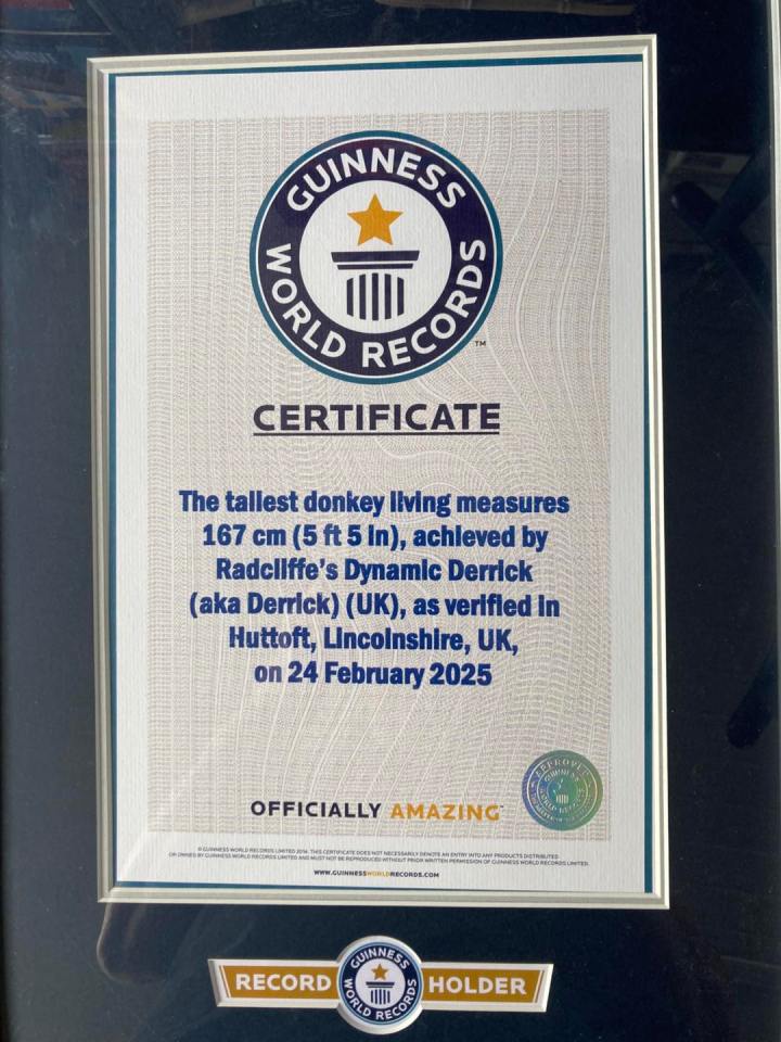 Guinness World Records certificate for Derrick, the tallest living donkey, measuring 167 cm (5 ft 5 in).