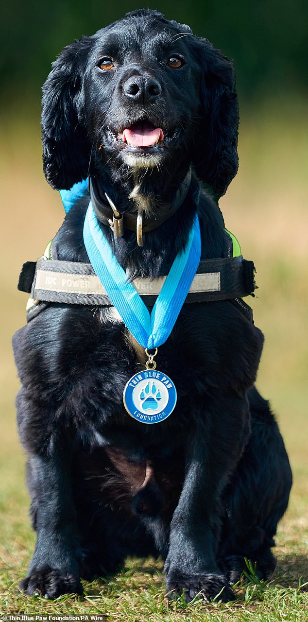 Other winners of the Thin Blue Paw Awards included PC Dan Cuthbertson and PD Louie (pictured), of Durham Police, who helped catch one of the UK's worst drunk drivers