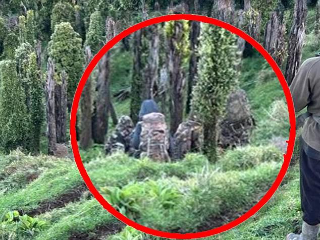 Locals who spotted them feared approaching the group because they knew they were armed