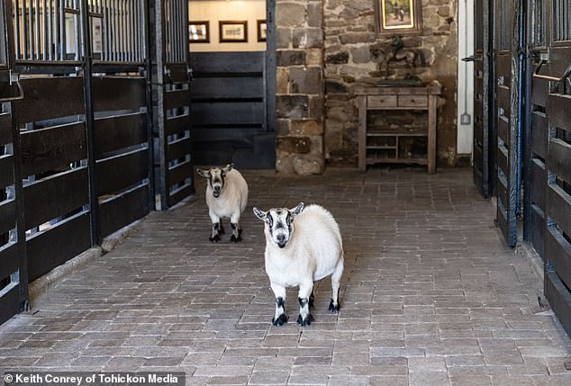 'Each child had their own cottage ¿ the carriage house, the lavender house, or the corn crib ¿ but they always came back to the main farmhouse for breakfast and dinner, learning farm-to-table and sharing meals by the fire,' Yolanda recalled fondly