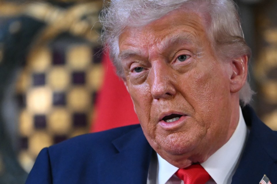 Donald Trump speaking at a joint press conference.
