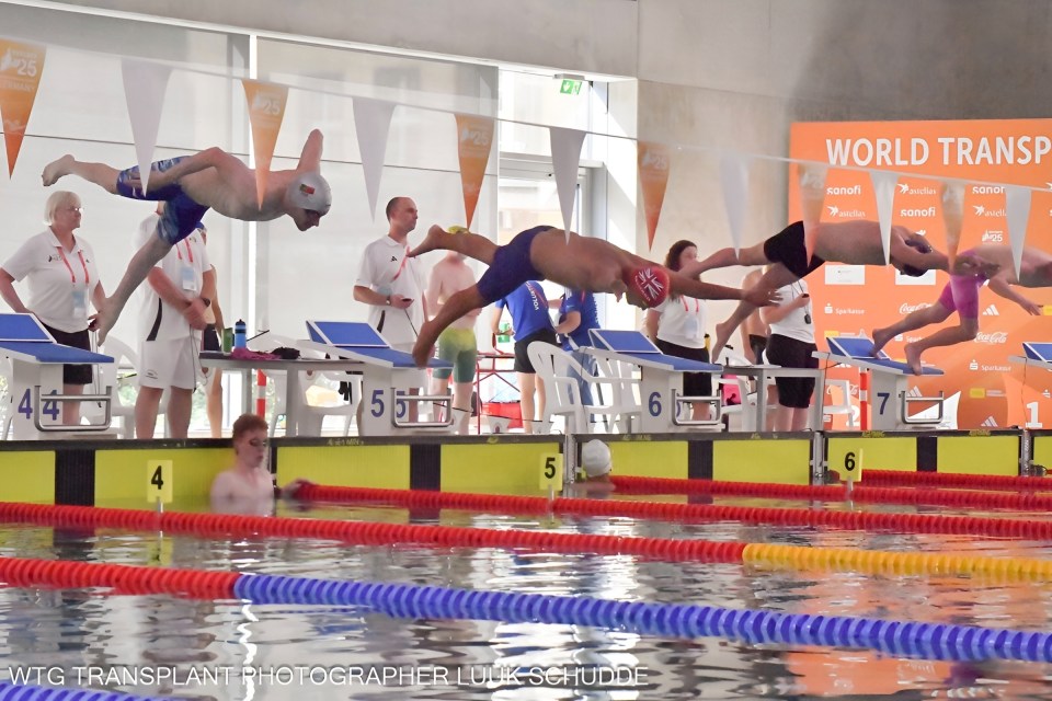 Several swimmers mid-air after diving from starting blocks in an indoor pool.