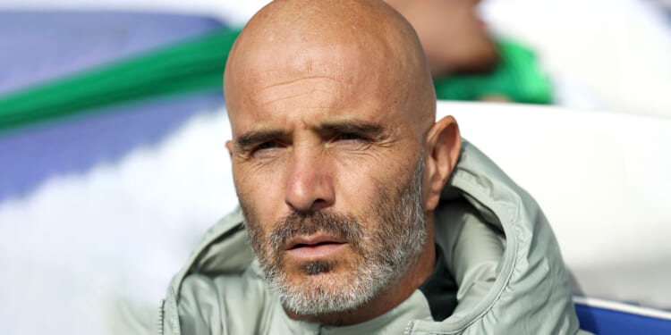 Enzo Maresca gives Chelsea stars furious dressing down after gifting Brighton victory and losing heads in late collapse