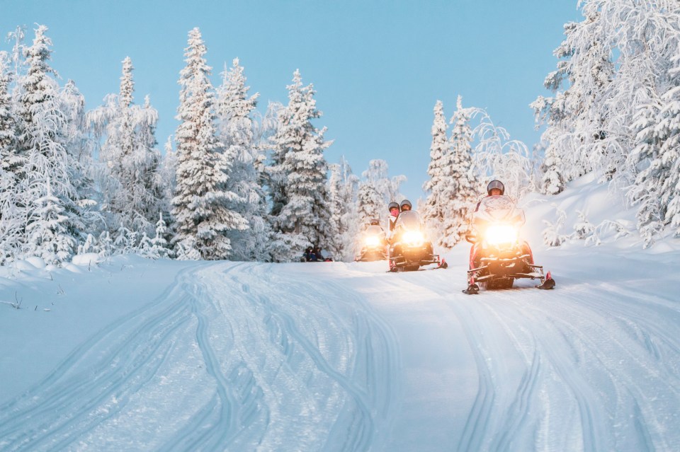 Snowmobiles driving on a snowy track through a snow-covered forest.
