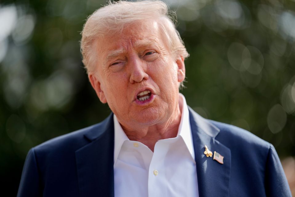 Donald Trump speaking to the media on the South Lawn of the White House.