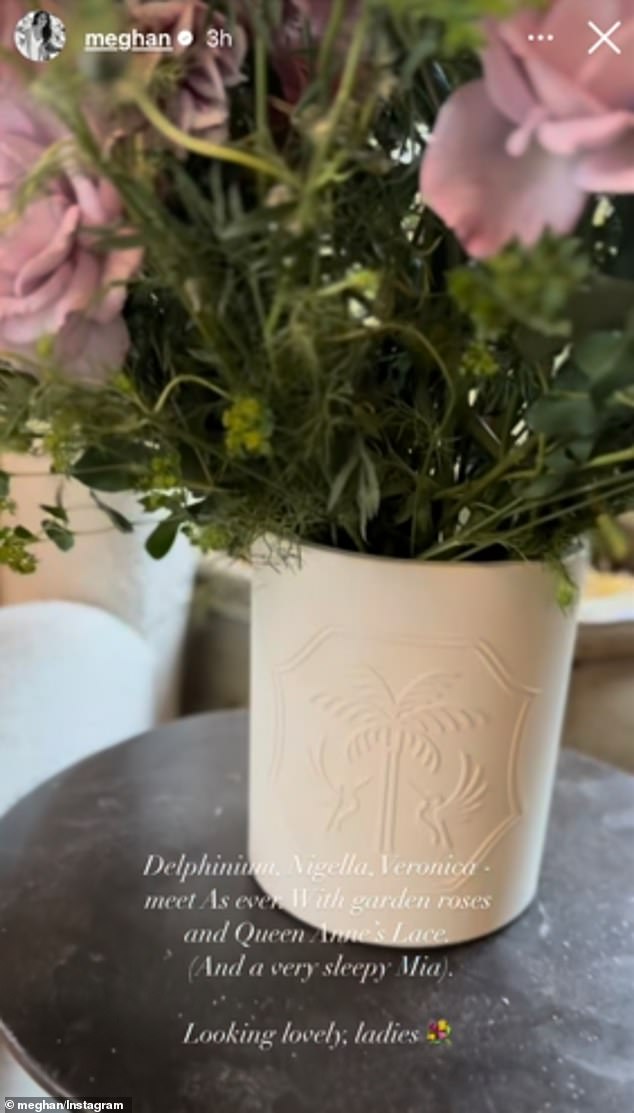 Sharing a clip on her Stories with her 4.2million followers, the mother-of-two showcased an elegant floral arrangement and her beagle, Mia, sleeping on a stunning cream armchair and matching cushioned footstool
