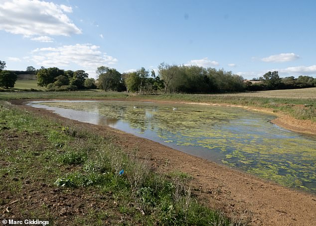 But the land (pictured) is just a stone's throw from the A-list retreat of Soho House – a favourite of David Beckham and wife Victoria