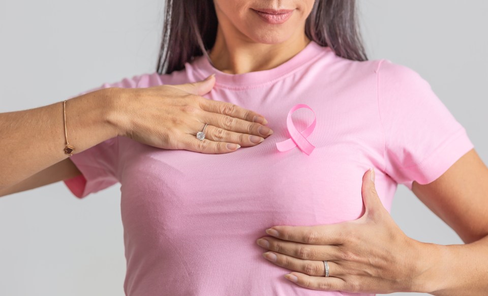 Woman in pink shirt and ribbon holds her breast as a symbol of necessity for prevention checks for women.