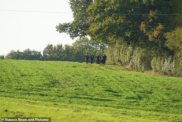 Mr Garzon was originally from Seville in southern Spain and had been working at the hotel and health spa for the last five years - he fell near Newpound Common (pictured), Wisborough Green, West Sussex