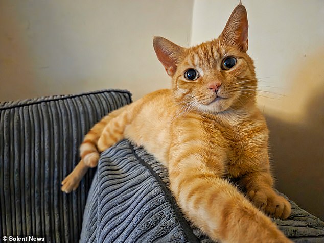 Marshall (pictured) survived and ran away before finally returning home in Basingstoke, Hampshire, hours after the attack at 6am on July 17