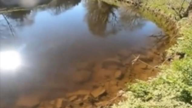 A picture from the bench of the depth and clarity of water that police believe Nicola fell into