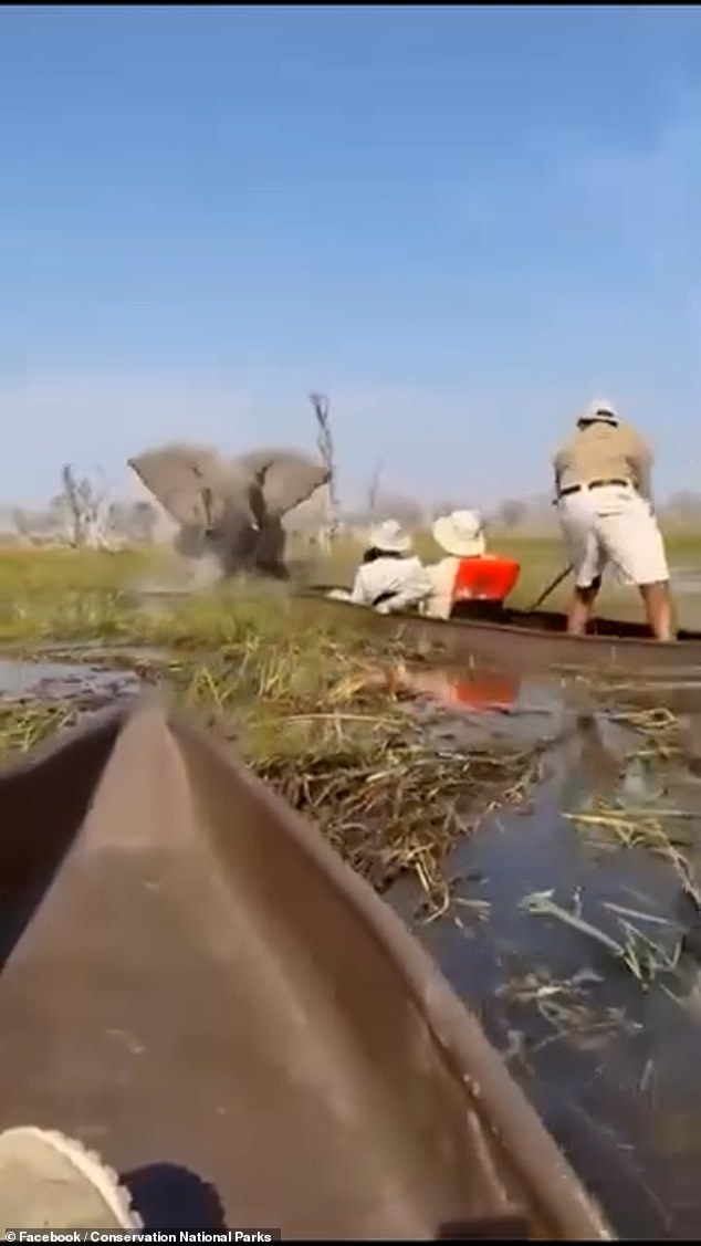 An expert said the tourists could have been killed by crocodiles and hippos in the area
