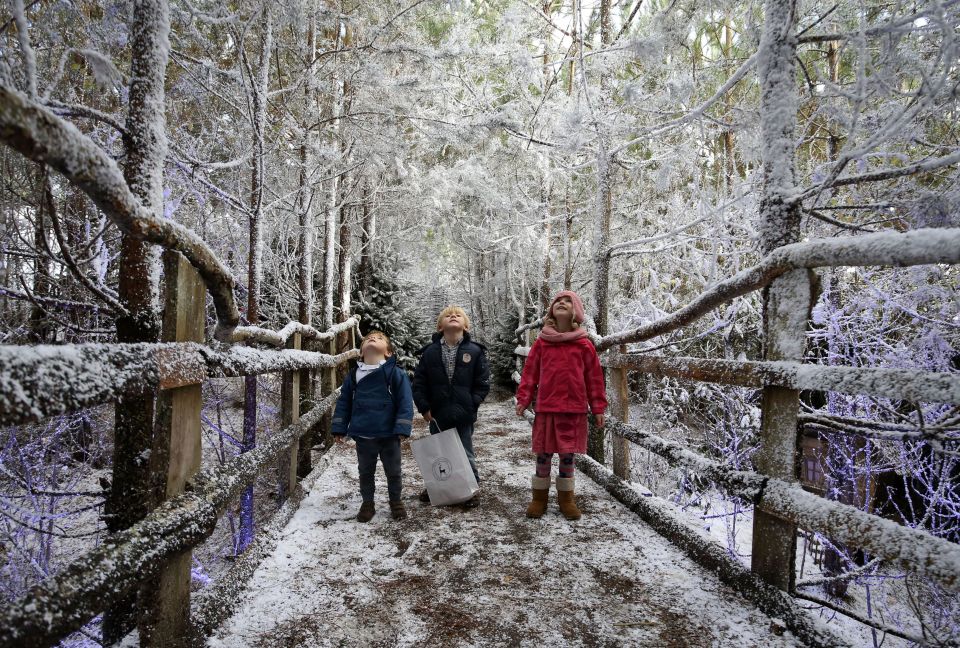Jago, 3, Henry, 5, and Amelia, 5, looking up at snowy trees in LaplandUK.
