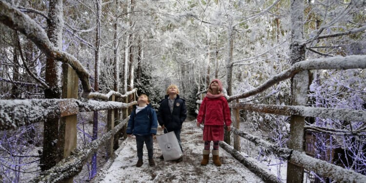 Sold-out Lapland UK experience to drop more tickets TODAY but you will have to be quick