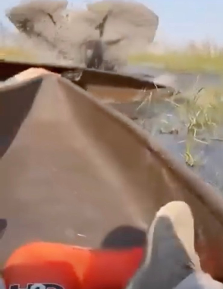 View from a boat of a charging elephant creating a large splash.
