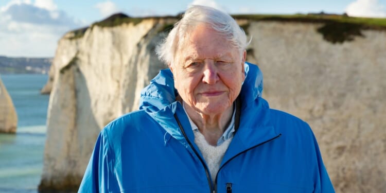 BBC set to make 99-year-old Sir David Attenborough their latest Tiktok star