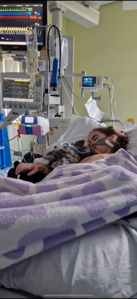 Ivy Amos, 9, paralysed from the neck down, in a hospital bed with medical equipment.