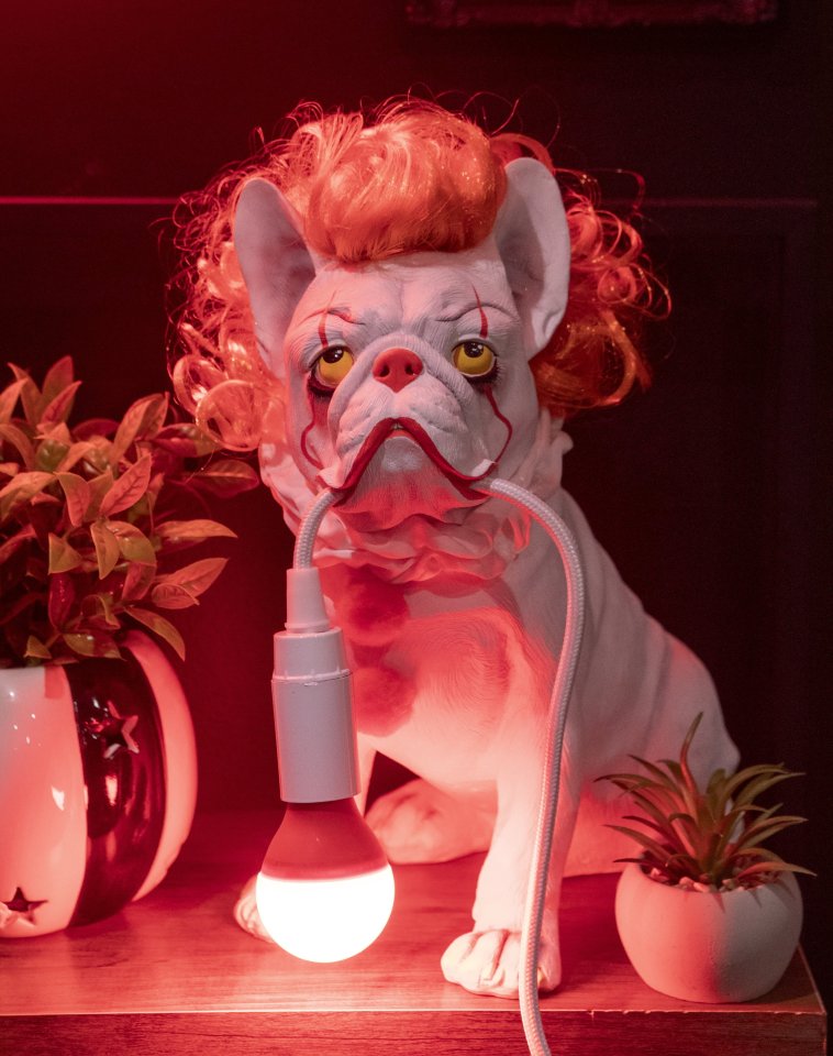 Sculpture of a dog with clown makeup and orange hair holding a lightbulb in its mouth, surrounded by plants.